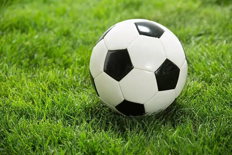 足球初学者学习平台